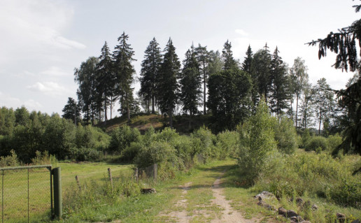 33_Vainagiai (3).jpg